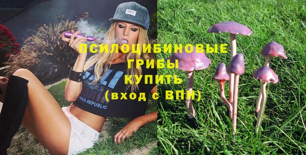 соль курить ск Михайловка