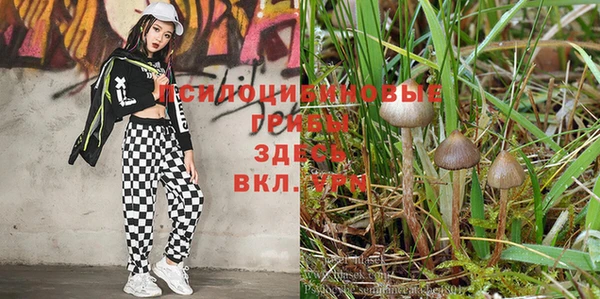 соль курить ск Михайловка