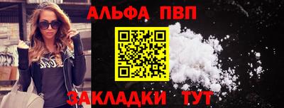 молекула духа Кингисепп