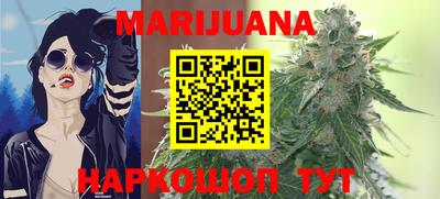 молекула духа Кингисепп