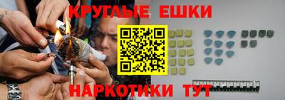 молекула духа Кингисепп
